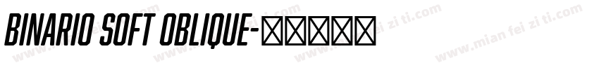 Binario Soft Oblique字体转换